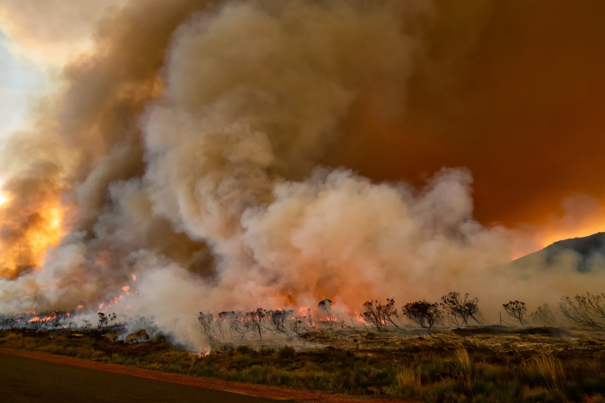 Fynbos Wildfire